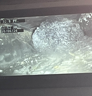 Illustration de l'article : Piégé depuis plusieurs jours dans une canalisation, ce chien désespérément tente de se faire entendre