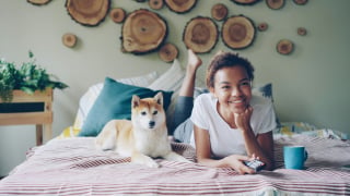 Illustration de l'article : Idée reçue : un chien qui regarde la télévision comprend-il les images ?
