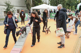 Illustration de l'article : Animal Expo, rendez-vous les 24 et 25 octobre pour partager un moment de complicité avec votre chien