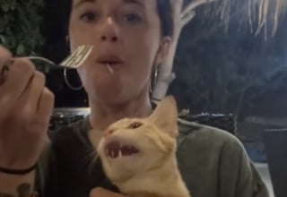 Illustration de l'article : « J'aurais dû lui faire payer l'addition » : au restaurant, le dîner de cette jeune femme est interrompu par un invité très culotté (vidéo)
