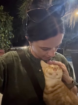 Illustration de l'article : « J'aurais dû lui faire payer l'addition » : au restaurant, le dîner de cette jeune femme est interrompu par un invité très culotté (vidéo)