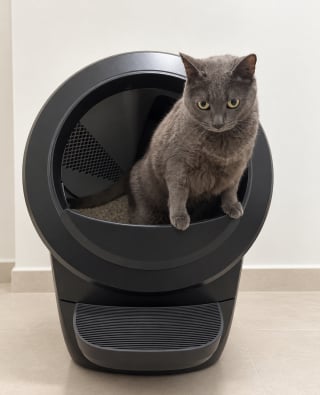 Illustration de l'article : Notre test du Litter-Robot 4, la litière autonettoyante haut de gamme de Whisker