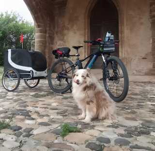 Illustration de l'article : Ce chien et sa ma&icirc;tresse gendarme vont parcourir 1400 km &agrave; v&eacute;lo sur un trac&eacute; en forme de coeur pour la bonne cause