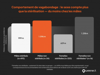 Illustration de l'article : D&rsquo;apr&egrave;s une &eacute;tude internationale de Weenect, les chats fran&ccedil;ais d&eacute;clenchent plus d&rsquo;alertes GPS malgr&eacute; un territoire parmi les plus petits