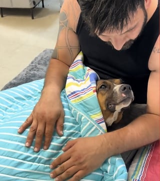 Illustration de l'article : Abandonnée sur le perron après un déménagement, cette chienne a attendu sa famille pendant des jours (vidéo)