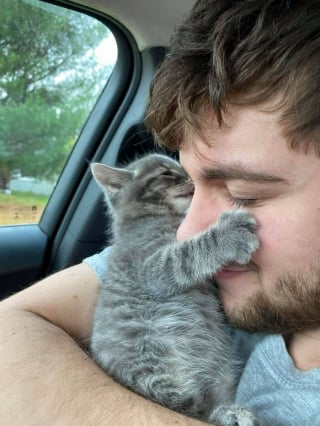 Illustration de l'article : 20 photos d&rsquo;animaux qui ont d&eacute;cid&eacute; de rendre le monde plus mignon