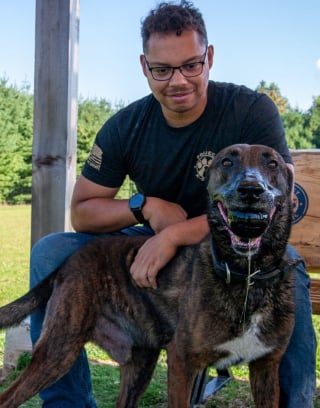 Illustration de l'article : Après un an et demi loin de son maître, ce chien militaire n’a pas oublié leur lien