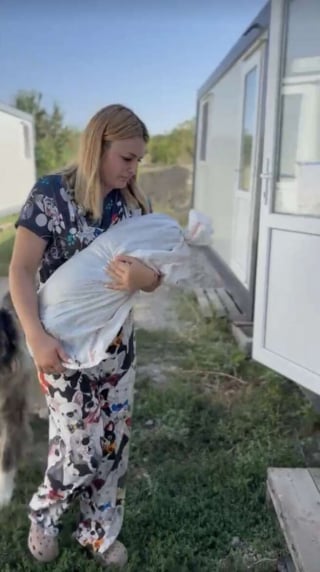 Illustration de l'article : Cette chienne de 9 ans arrive au refuge enfermée dans un sac en tissu après le décès de son propriétaire