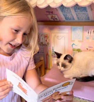 Illustration de l'article : Ils recueillent un chaton pour en &ecirc;tre la famille d'accueil mais ont finalement une meilleure id&eacute;e