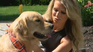 Illustration de l'article : Pieds nus et en pyjama, elle court apr&egrave;s son Golden Retriever qui fonce vers le bus scolaire de ses enfants (vid&eacute;o)