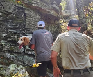 Illustration de l'article : Disparue autour du chalet, cette chienne amène sa famille à la chercher pendant des heures