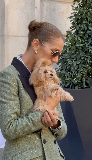 Illustration de l'article : C&eacute;line Dion pr&eacute;sente &agrave; ses fans sa petite chienne Madison, blottie dans ses bras devant son h&ocirc;tel parisien (vid&eacute;o)