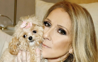 Illustration de l'article : C&eacute;line Dion pr&eacute;sente &agrave; ses fans sa petite chienne Madison, blottie dans ses bras devant son h&ocirc;tel parisien (vid&eacute;o)