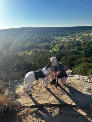 Illustration de l'article : Presque sans poils et tr&egrave;s affaibli, ce chien survivait seul depuis la mort de son ma&icirc;tre