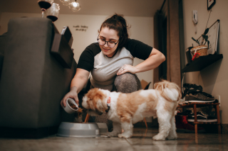 Illustration de l'article : 11 méthodes pour apprendre à votre chien à ne pas quémander