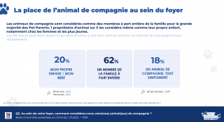 Illustration de l'article : Quand le chien ou le chat devient « notre bébé » : les Français repensent leur quotidien autour de leur animal