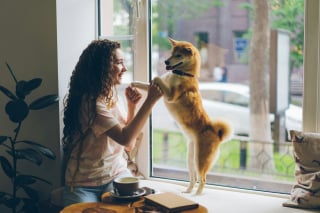 Illustration de l'article : 10 petites phrases &agrave; dire &agrave; votre chien pour booster sa confiance en lui