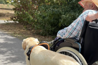 Illustration de l'article : Un Labrador recal&eacute; des chiens guides apaise les r&eacute;sidents d&rsquo;un EHPAD des C&ocirc;tes-d'Armor