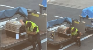 Illustration de l'article : Un bagagiste s’assoit près de la caisse d’un chien pour lui parler avant son voyage en soute (vidéo)