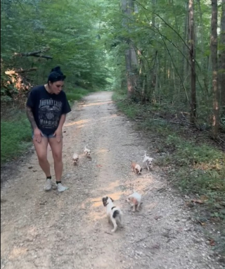 Illustration de l'article : Une femme rep&egrave;re 2 chiots &agrave; la lisi&egrave;re des bois, puis d&eacute;couvre une port&eacute;e de 10 petits &agrave; secourir