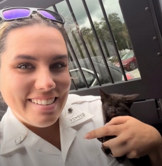 Illustration de l'article : Le sauvetage d’un chaton en danger sur l'autoroute par une policière connaît une issue inattendue (vidéo)