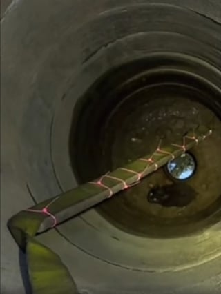 Illustration de l'article : Un chaton piégé dans un puits est sauvé par les pompiers, puis adopté par l’un de ses sauveteurs (vidéo)