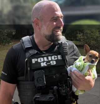 Illustration de l'article : Ce chien disparu lors d&rsquo;un cambriolage est retrouv&eacute; dans un v&eacute;hicule, asperg&eacute; de Javel