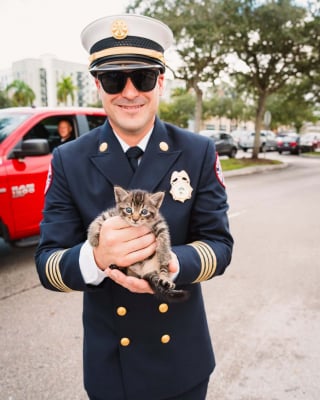 Illustration de l'article : Alors que des pompiers commémorent le 11 septembre, un chaton coincé dans leur camion attire leur attention