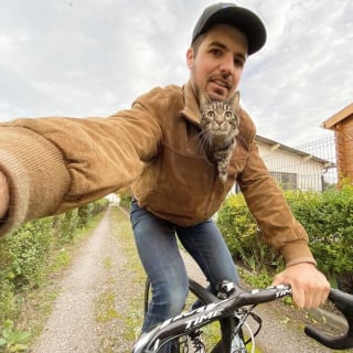 Illustration de l'article : 15 photos de Cathode, la chatte aventurière qui découvre le monde avec son maître