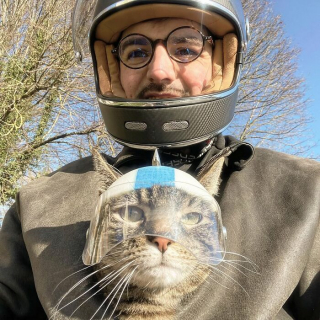 Illustration de l'article : 15 photos de Cathode, la chatte aventurière qui découvre le monde avec son maître