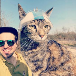 Illustration de l'article : 15 photos de Cathode, la chatte aventurière qui découvre le monde avec son maître
