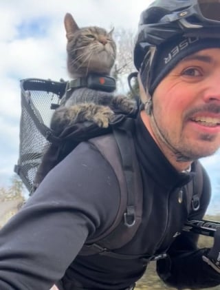 Illustration de l'article : 15 photos de Cathode, la chatte aventurière qui découvre le monde avec son maître