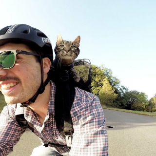 Illustration de l'article : 15 photos de Cathode, la chatte aventurière qui découvre le monde avec son maître
