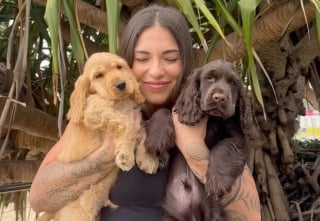 Illustration de l'article : Cette famille venait adopter un chien, mais repart avec lui et un chiot atteint d&rsquo;un probl&egrave;me oculaire