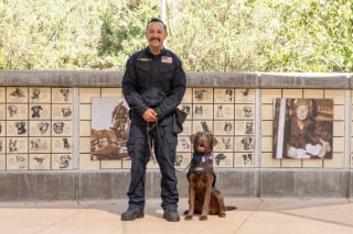 Illustration de l'article : Ce chien pompier ayant sauv&eacute; 3 vies apr&egrave;s le s&eacute;isme au Venezuela est en lice pour une distinction