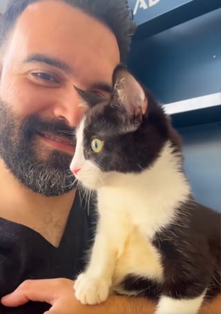 Illustration de l'article : Un capot de voiture bien chaud et des caresses suffisent à rassurer ce chaton errant frigorifié