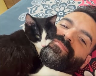 Illustration de l'article : Un capot de voiture bien chaud et des caresses suffisent à rassurer ce chaton errant frigorifié