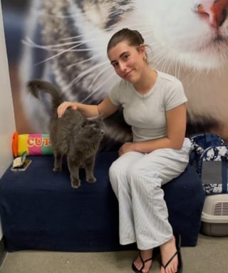 Illustration de l'article : Touchée par le regard triste d’un chat en attente d’adoption, elle postule sans vraiment croire en ses chances (vidéo)