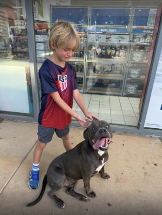 Illustration de l'article : Un garçon de 6 ans refuse de laisser un chien à la station-service, ses parents lui offrent un foyer