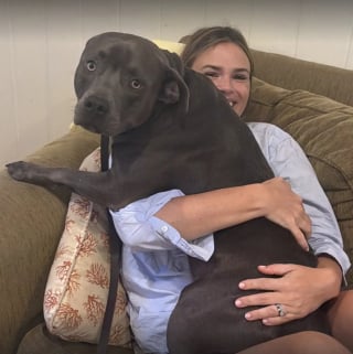 Illustration de l'article : Un garçon de 6 ans refuse de laisser un chien à la station-service, ses parents lui offrent un foyer