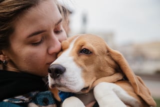 Illustration de l'article : Une &eacute;tude prouve que le secret de l'amour des chiens est une mutation g&eacute;n&eacute;tique rare