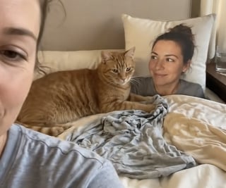 Illustration de l'article : Son chat souffre d’anxiété quand elle part, alors elle lui offre un coussin à son effigie (vidéo)