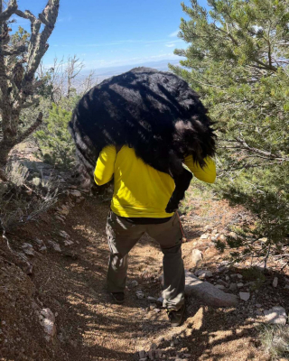 Illustration de l'article : Son chien de pr&egrave;s de 60 kg &eacute;puis&eacute; en montagne, un randonneur appelle les secours