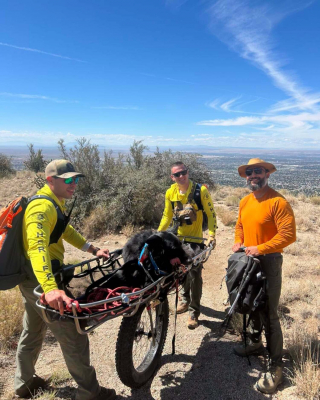 Illustration de l'article : Son chien de pr&egrave;s de 60 kg &eacute;puis&eacute; en montagne, un randonneur appelle les secours