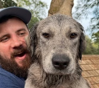 Illustration de l'article : « Cette famille pourrait bien me plaire », un chien commente avec humour son nouveau quotidien (vidéo)