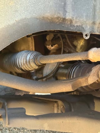 Illustration de l'article : Coincé sous le capot d’une voiture, ce chaton entrevoit l'espoir grâce à des policiers en patrouille