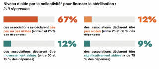 Illustration de l'article : 72 % des animaux accueillis en France en 2025 sont des chats, selon l’étude de la SPA et de la Fondation Affinity
