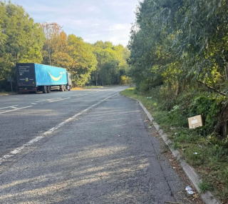 Illustration de l'article : Abandonn&eacute;s dans un carton en bord de route, ces chatons ont d&ucirc; &ecirc;tre secourus en plusieurs fois