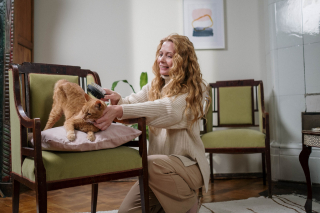 Illustration de l'article : Pourquoi votre chat vole votre fauteuil préféré en 9 raisons