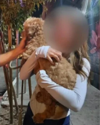 Illustration de l'article : Les images de vid&eacute;osurveillance du quartier mettent la police sur la piste d'un chien vol&eacute; quelques heures auparavant